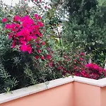 Jasmine