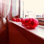 Couette-café Jasmine