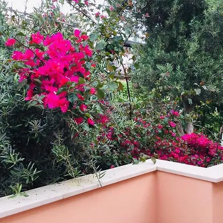 Da Jasmine