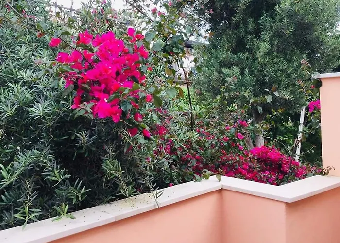 Jasmine