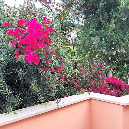 Jasmine 4*